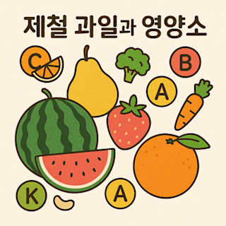제철 과일 영양소 완전 분석 썸네일 이미지