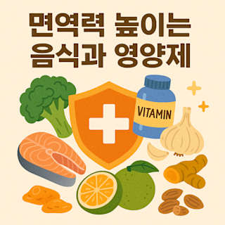 면역력 높이는 음식과 영양제 썸네일 이미지