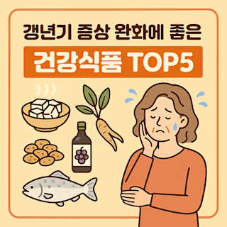 갱년기 증상 완화 건강식품 TOP5 썸네일 이미지
