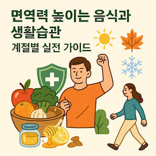 면역력 높이는 음식과 생활습관, 계절별 실전 가이드 썸네일 이미지